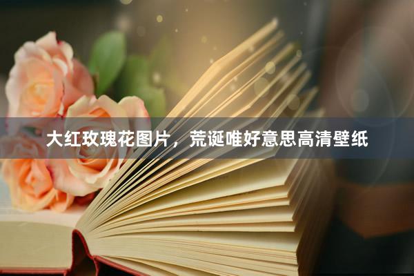 大红玫瑰花图片，荒诞唯好意思高清壁纸