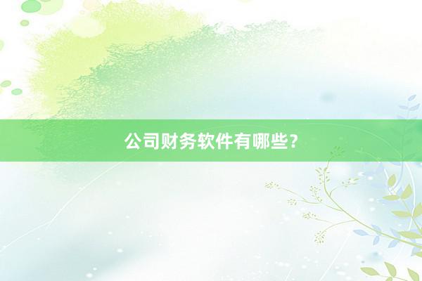 公司财务软件有哪些？